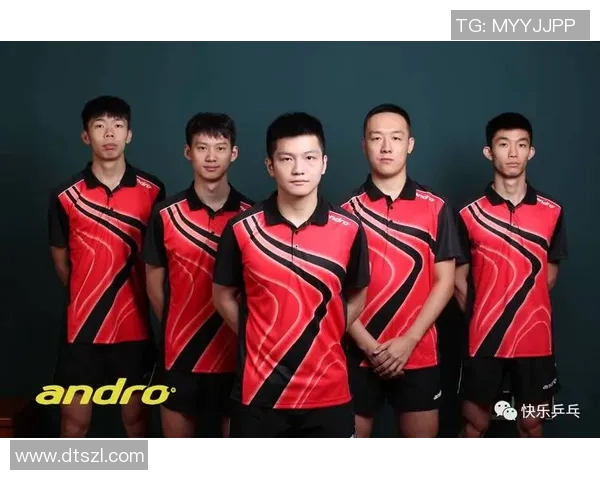 武汉乒乓球队实力深度解析与各队对比分析