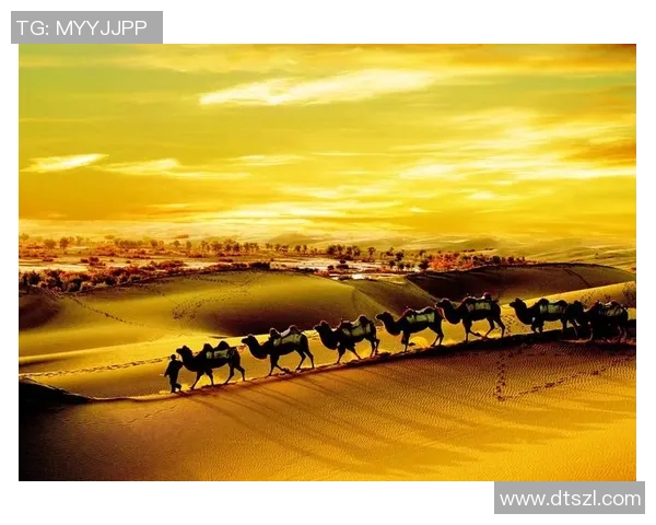 亚当斯的传奇人生与时代背景探讨：从平凡到伟大的转变之路